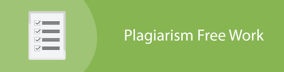 plagiarism free help
