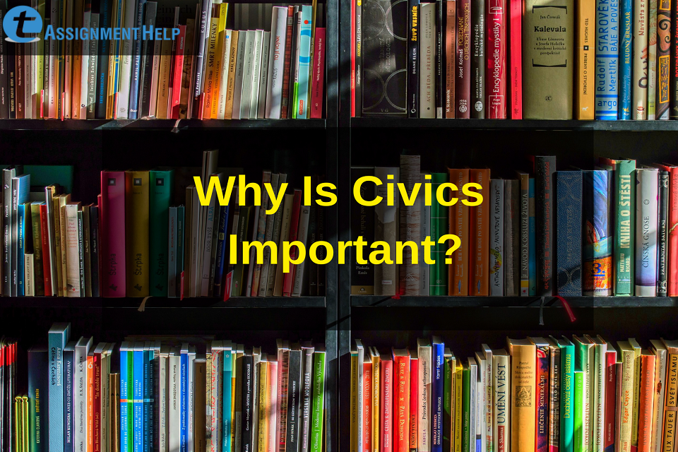 importance of learning civics
