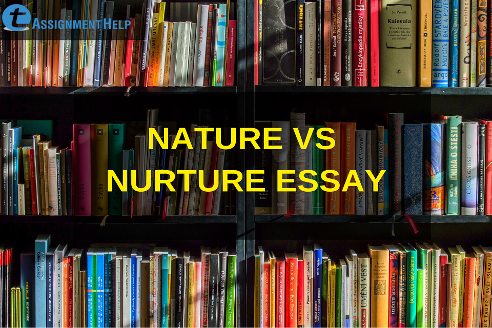 Реферат: Nature Versus Nurture Essay Research Paper Nature