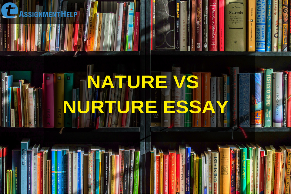 Реферат: Nature Versus Nurture Essay Research Paper Nature Реферат: Nature Versus Nurture Essay Research Paper Nature