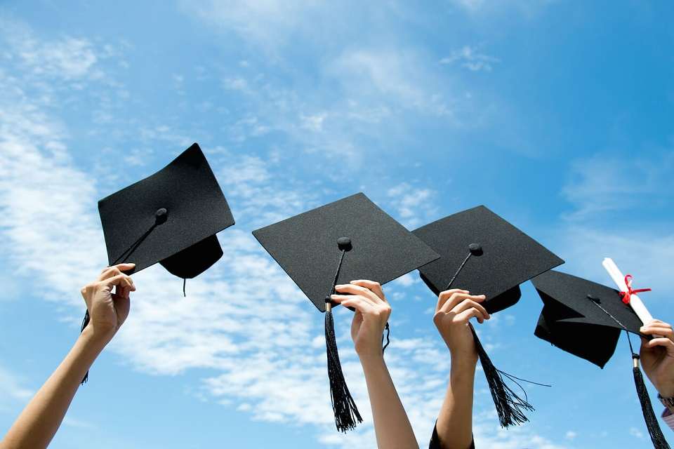 What is Undergraduate and Graduate Course? Total Assignment Help