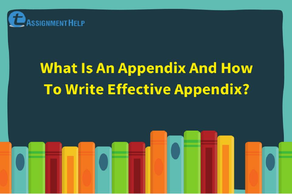 What Is An Appendix And How To Write Effective Appendix Total what-is-an-appendix-and-how-to-write-effective-appendix-total