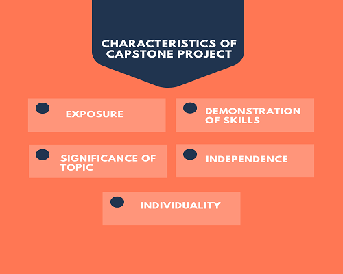 capstone project in supervision and management