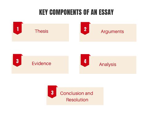key components of essay writing