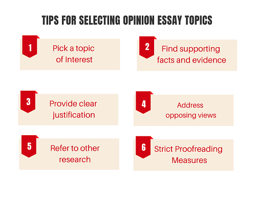 topics for an opinion essay