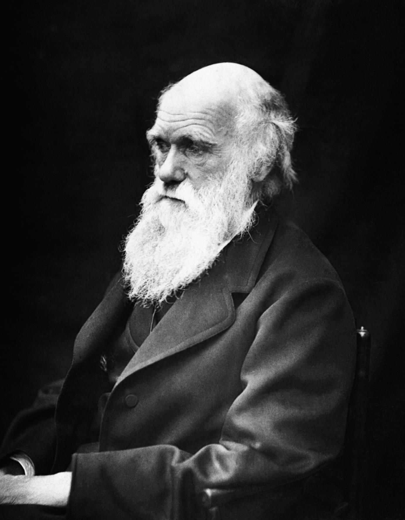 Lamarck vs Darwin theory of evolution