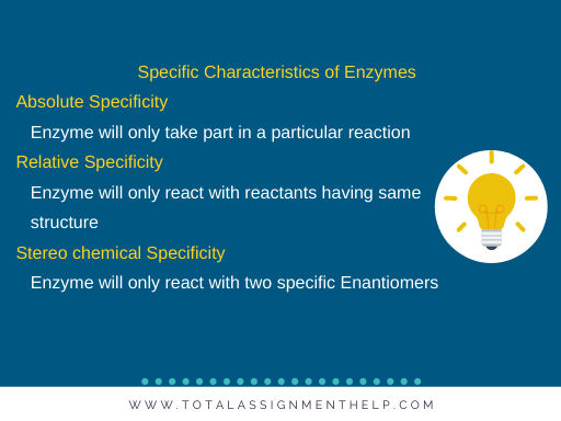 characteristics of enzymes