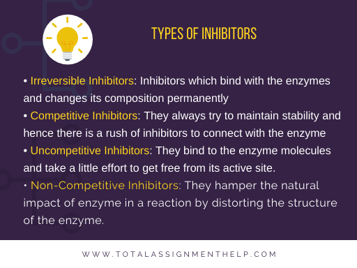 characteristics of enzymes