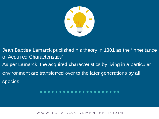 Lamarck Vs Darwin Theory Of Evolution