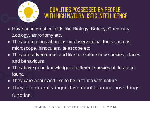 Naturalistic Intelligence