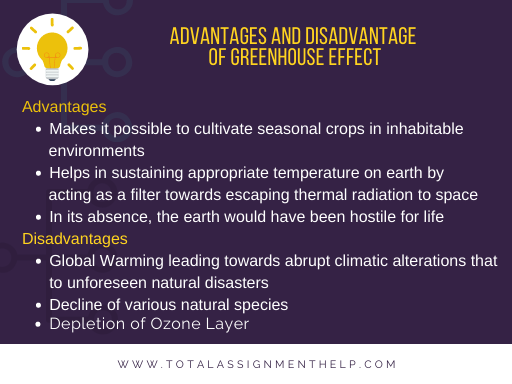 /disadvantages and advantages of greenhouse