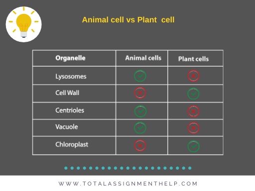 Plant cell vs Animal cell