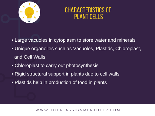 Plant cell vs Animal cell
