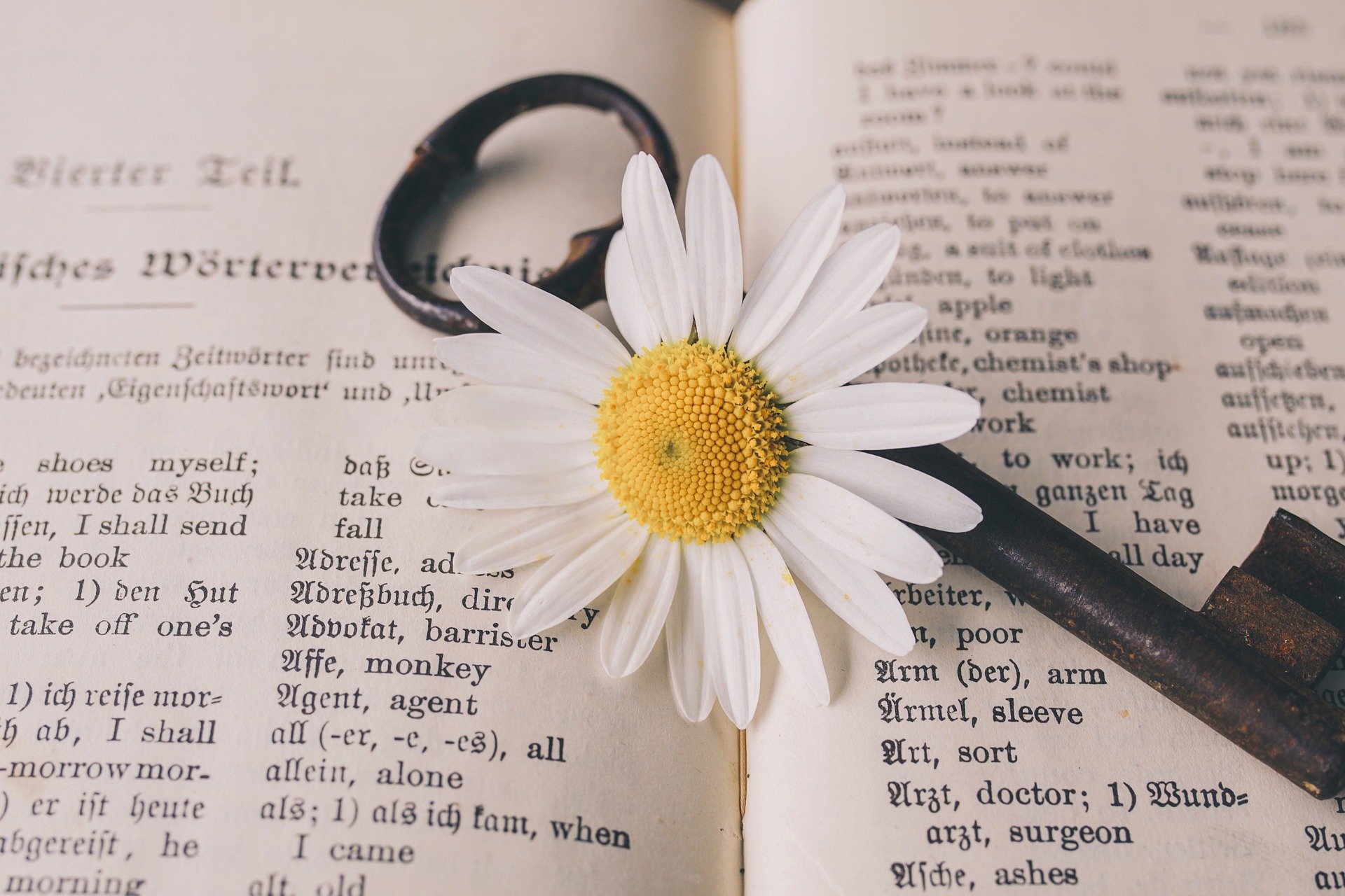 Difference Between Compound And Complex Sentences