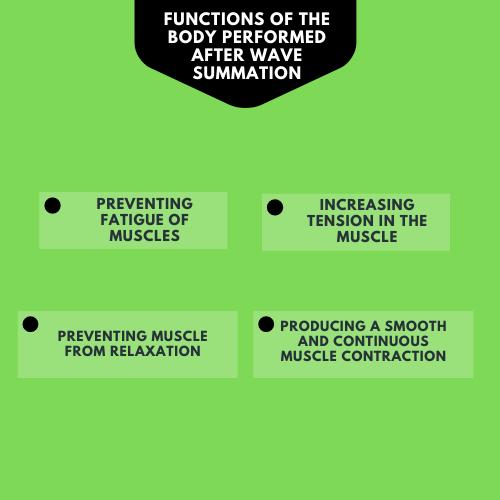 Functions of the body performed after wave summation