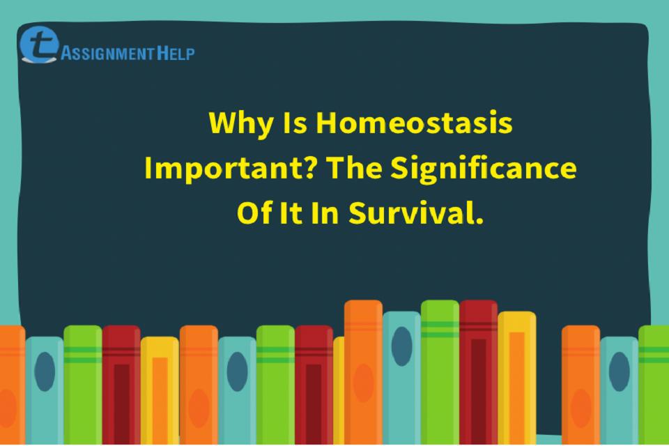 Why Is Homeostasis Important