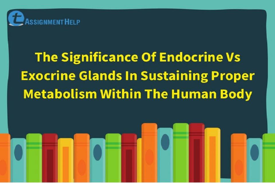 Significance Of Endocrine Vs Exocrine Glands Total Assignment Help