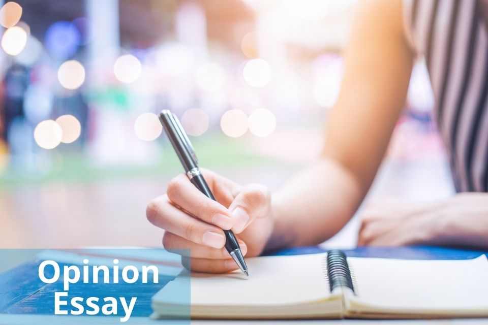 opinion essay education