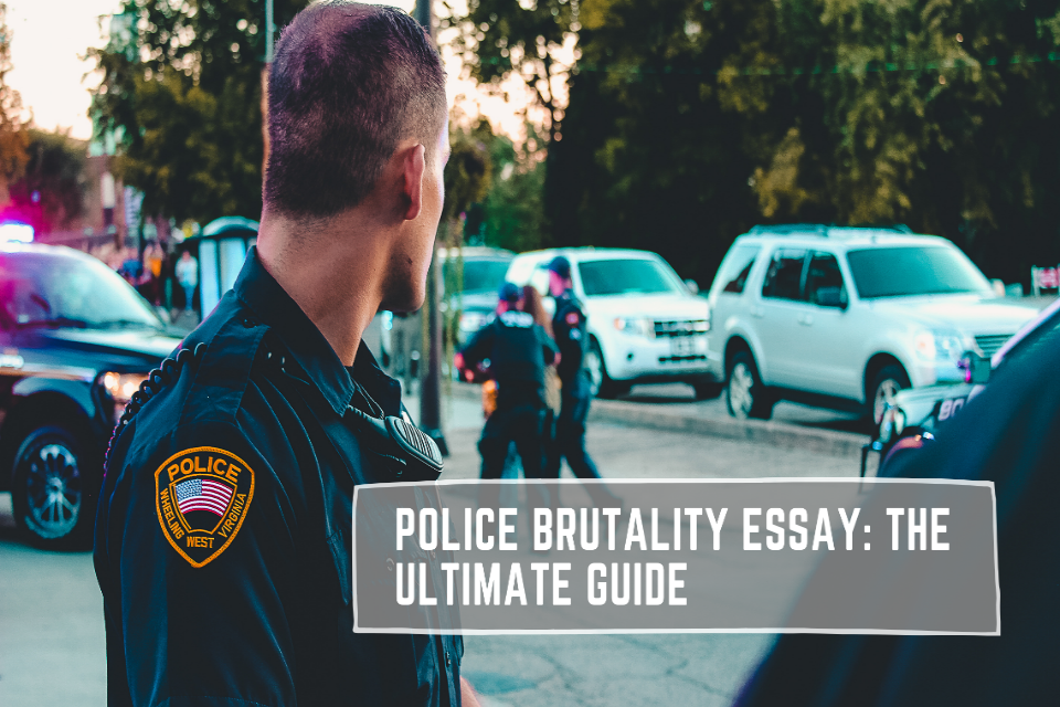 police brutality proposal essay