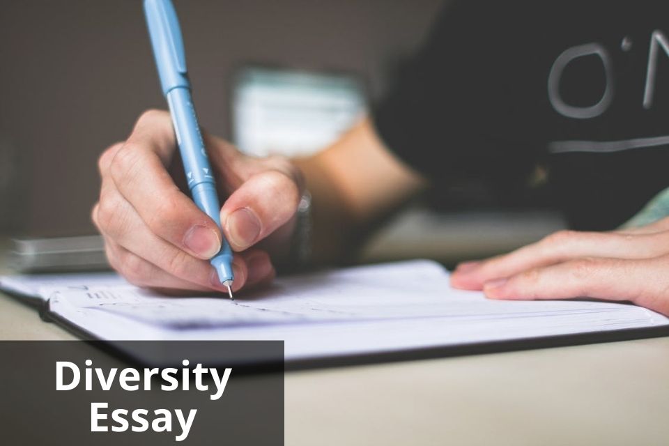 Diversity Essay