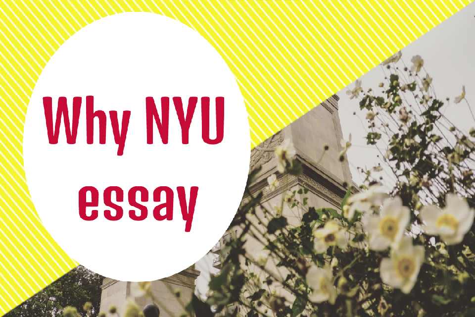 why NYU essay