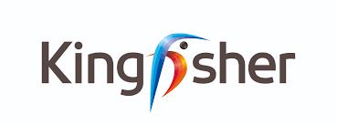 kingfisher financial performance