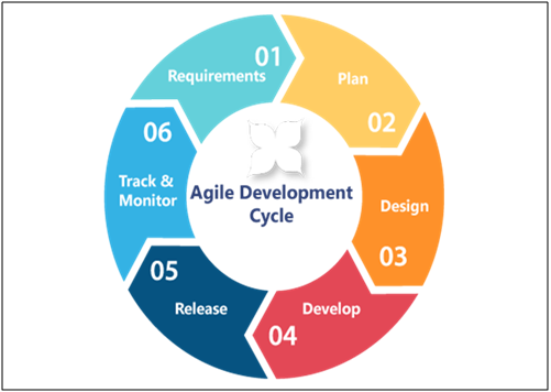 Agile Project Management Cycle project management assignment