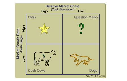 BCG matrix in marketing plan assignment