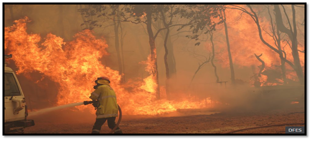 Bushfire at Perth in public health assignment