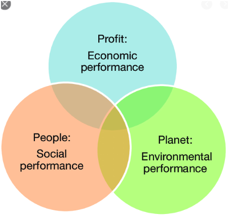 Triple bottom line framework in business strategy assignment