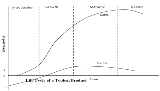 Carnein and Trautmann 2019 in marketing strategy assignment