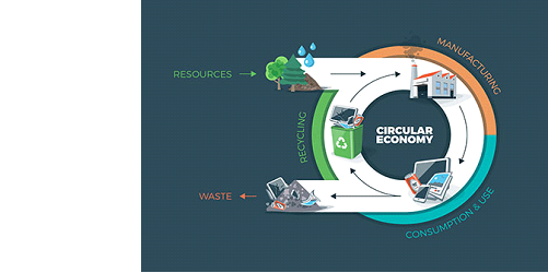 Circular Economy in economics assignment 1