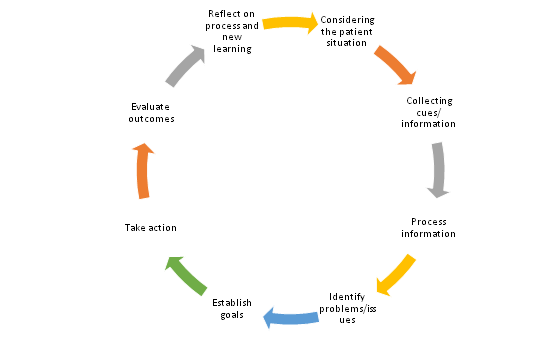 Clinical Reasoning Cycle by Tracy Levett Jones et al