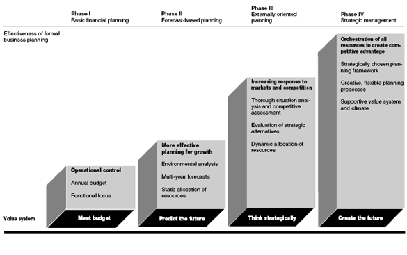 IT/IS Strategic business planning phases for Coles group in business strategy assignment 