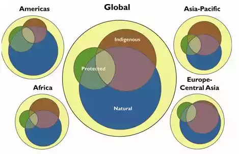 Cultural-identities in indigenous health reflective essay