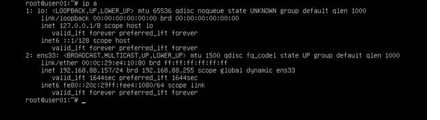 DNS server installation in ethical hacking 5