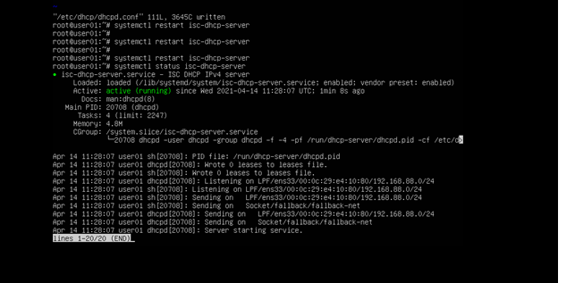 DNS server installation in ethical hacking 8