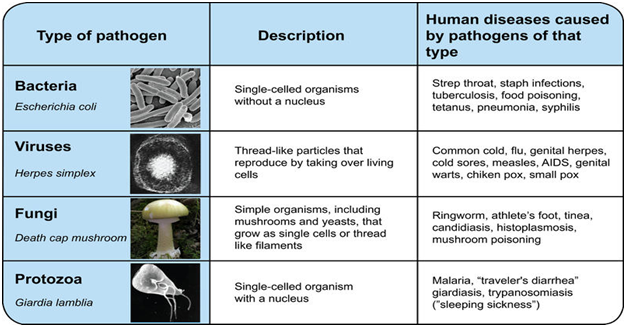 DPSEEA Model about Water Pollution-related Environmental Health Issue