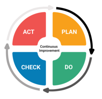 ES Implementation Method in enterprise systems assignment