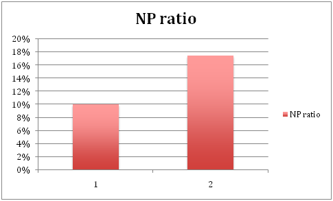 NP ratio in financial statement assignment