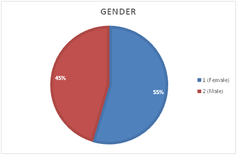 pie chart in Gender in statistics assignment