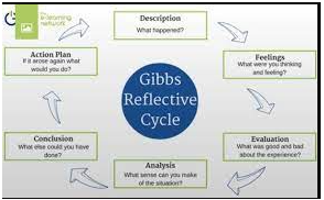 Gibbs reflective cycle in career development assignment