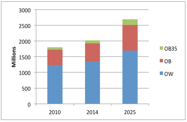 Global Obesity in healthcare 1