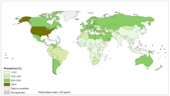 Global Obesity in healthcare 4