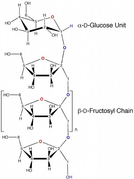 Glucose molecule