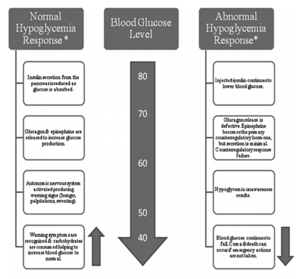 Hypoglycemia-and-responses
