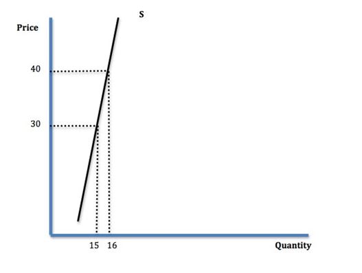 Inelastic-supply-in-economics-assignment.JPG