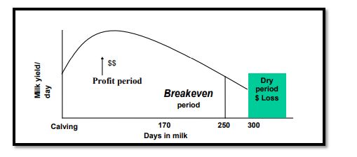 Lactation Curve for Australian dairy industries