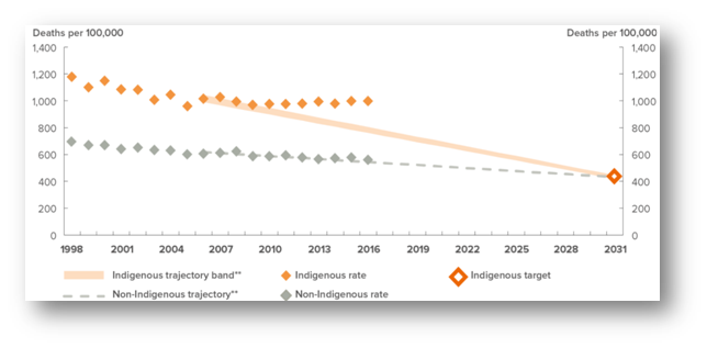 Life Expectancy at Birth in healthcare assignment