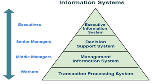 management information system essay